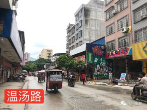 陸川縣市政道路工程建設取得階段性進展，城市交通網絡持續優化